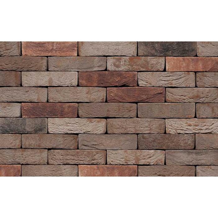 Кирпич S.Anselmo Custom blend DB, Selmo, 250х120х55 мм