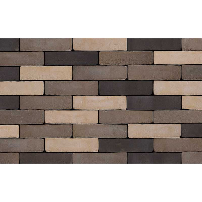 Кирпич S.Anselmo Custom blend TC, Standart, 250х60х55 мм