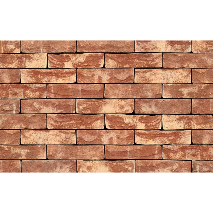 Кирпич S.Anselmo Superior Line Algeria, Selmo, 250х60х55 мм