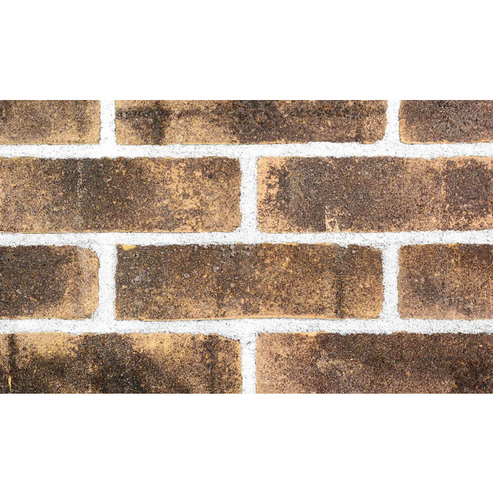 Кирпич S.Anselmo Superior Line Bruciato, Standart, 250х120х55 мм