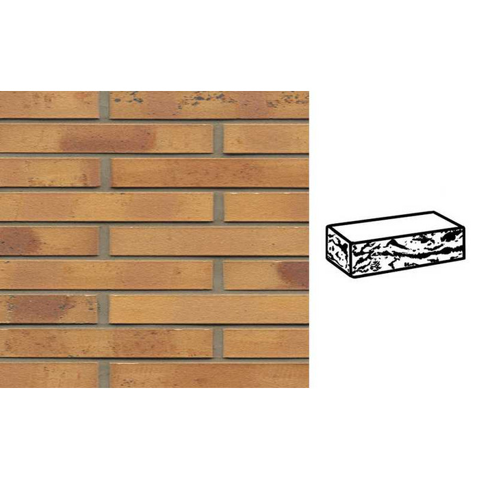 Кирпич клинкерный Muhr 06 K Hellbraun-bunt Kohle готик, 290х90х40 мм