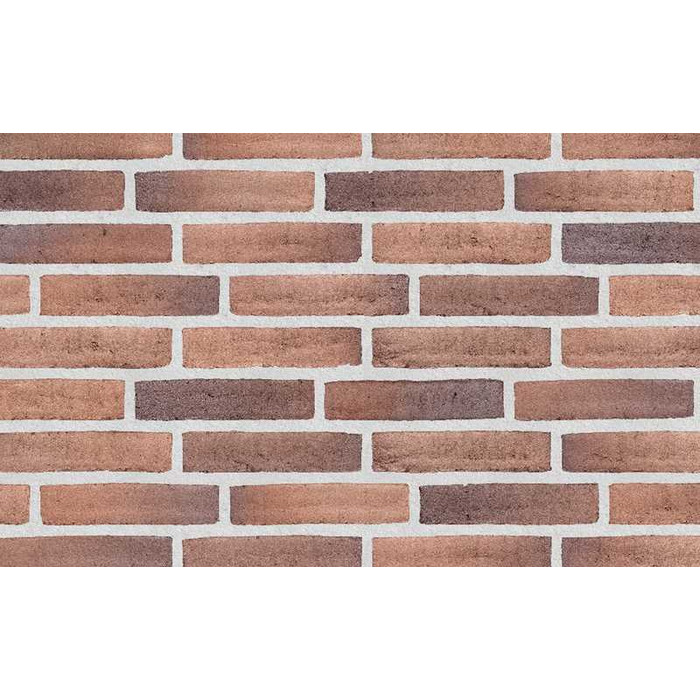 Плитка Randers Tegl Prima RT450, 228х54х35 мм
