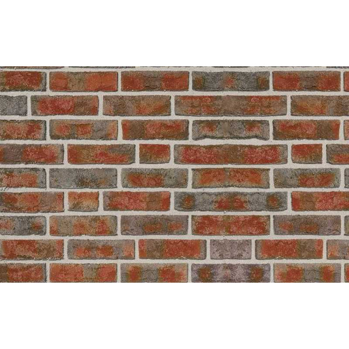 Плитка Roben Formback Buntgeflammt, 240х71х14 мм