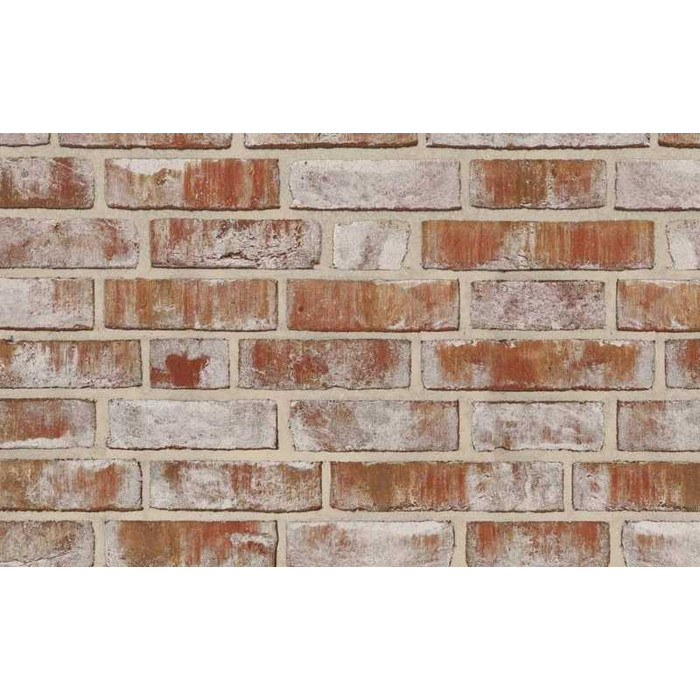 Плитка Roben Geestbrand Bunt-weiss, 240х71х14 мм