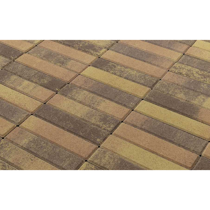 Плитка тротуарная BRAER Паркет Color Mix Прайд, 200*50*60 мм