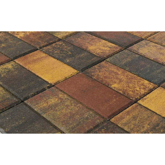Плитка тротуарная BRAER Прямоугольник Color Mix Мальва, 200*100*40 мм