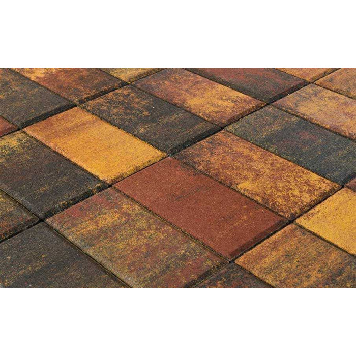 Плитка тротуарная BRAER Прямоугольник Color Mix Мальва, 200*100*60 мм