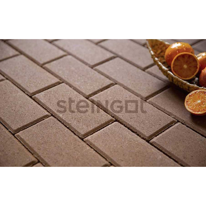 Плитка тротуарная Steingot Моно, Прямоугольник, фаска 5*5, коричневый, 200*100*60 мм